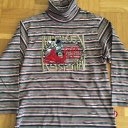 Jungen Rollkragenpullover Pullover 116 Disney c a gestreift